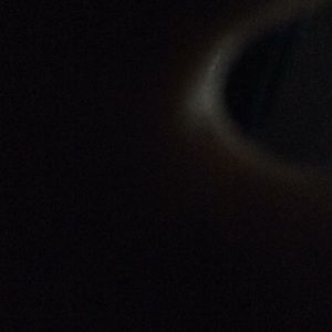 Meet your Posher, Bobby